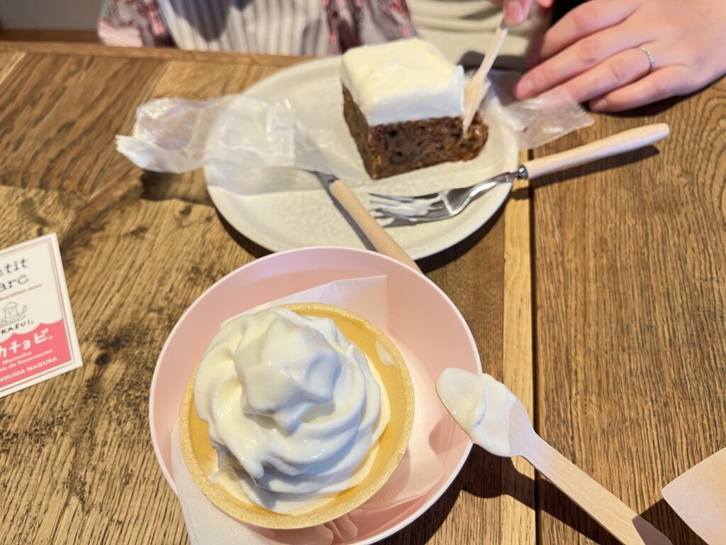 信州白樺高原ソフトクリームとキャロットケーキ